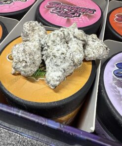 persy snowcaps zaza edition