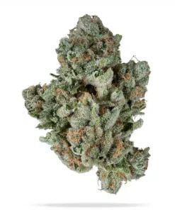 rainbow belts strain