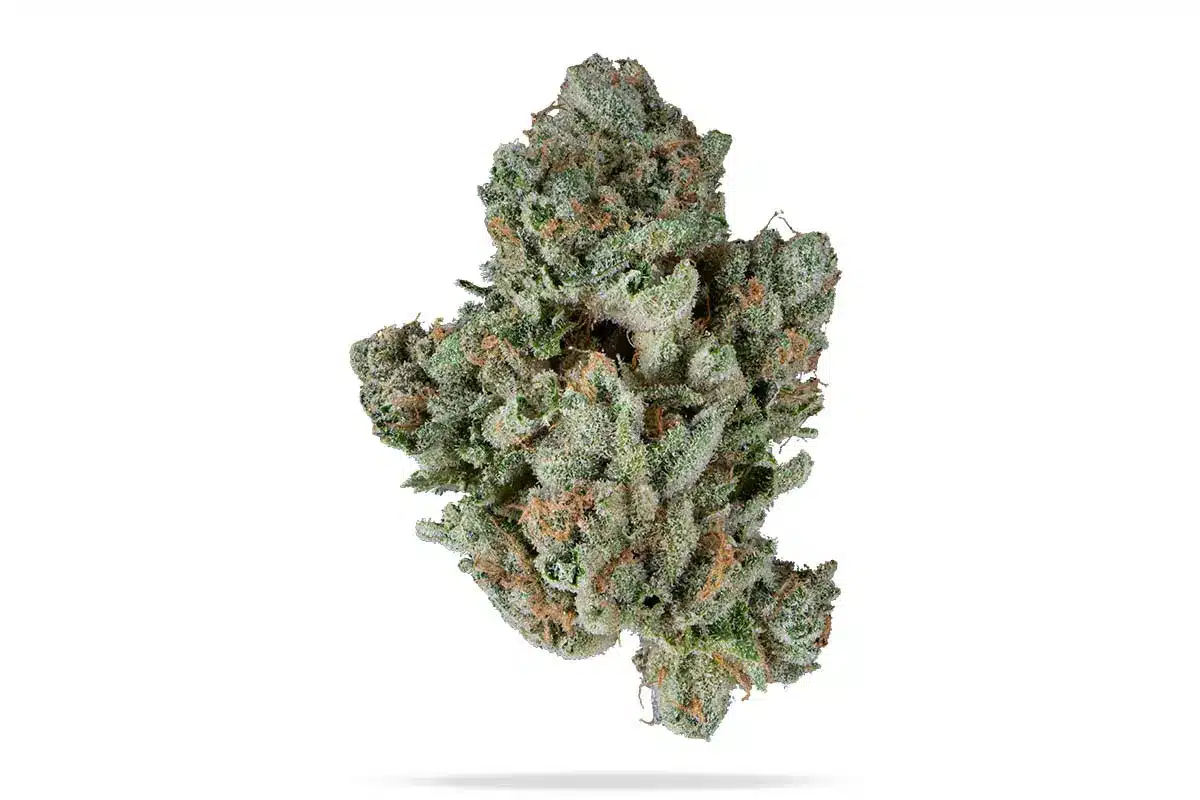 710-rainbowbelt_MAIN_.webp rainbow belts strain