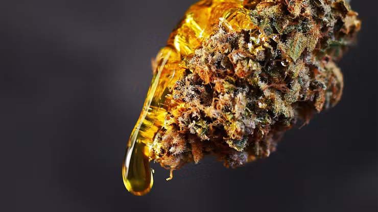 sunrock weed premium cannabis concentrate oil kief coating