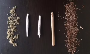 joint and spliff comparison cannabis rolling papers blunt wraps