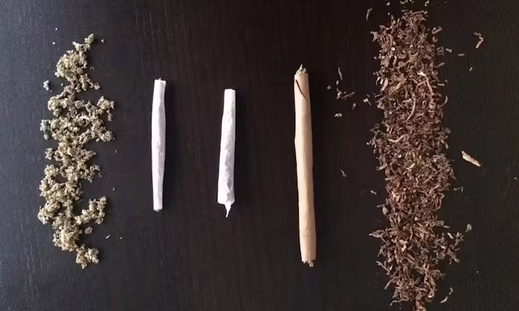 joint and spliff comparison cannabis rolling papers blunt wraps