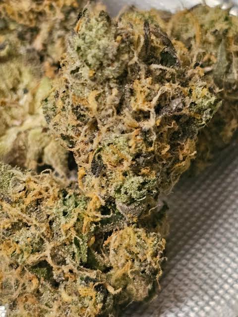 strange haze 8 strain