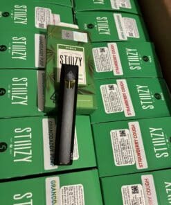 STIIIZY 1 gram disposable