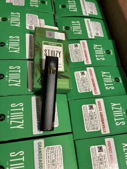 STIIIZY 1 gram disposable